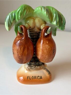 Mid century 1950s vintage Florida tourist salt & pepper shakers made in japan